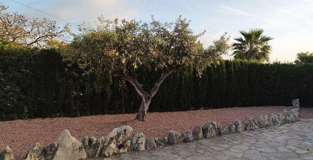 Villa Marti Calpe Eksteriør billede