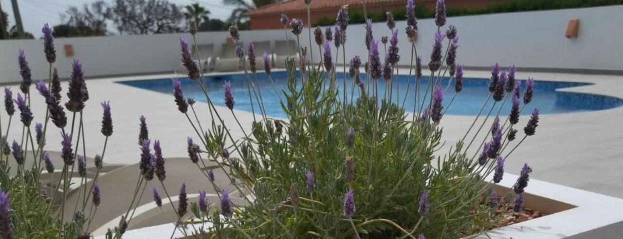 Villa Marti Calpe Eksteriør billede